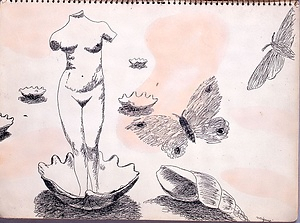 筆彩素描集『蝶と貝殻』 ひっさいそびょうしゅう　ちょうとかいがら