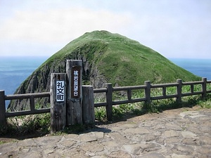 礼文島桃岩付近一帯の野生植物