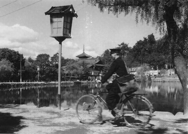 奈良 自転車