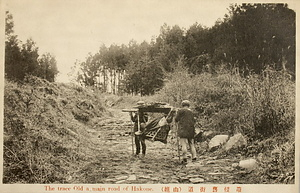 絵葉書「箱根旧街道（山籠）」