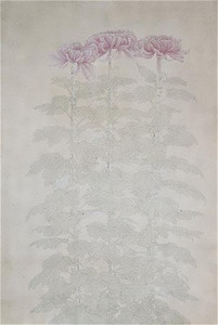 Sketch of Chrysanthemums