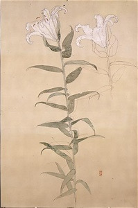 Sketch of White Lilies