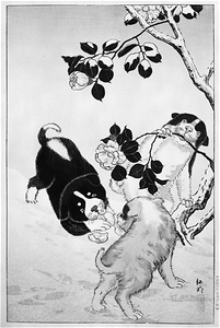 [Camellias and Three Dogs]