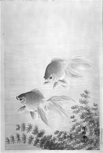 [Two Goldfish]