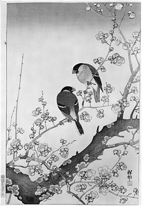 [Two Bullfinches on a Plum Branch]