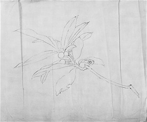 A Snail on a Plant, Sketches for Japanese-style paintings