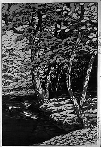Autumn on the oirase Streams from &quot;Japanese Sceneries, Tohoku Series&quot;