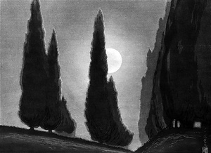 月夜の糸杉