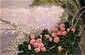 ヒマラヤ山と石楠花