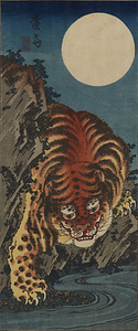 Moon and Tiger