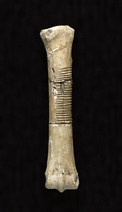 Horse Bone with Incised Lines