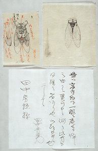 Letter from TANAKA Yoshio to TANAKA Fusatane