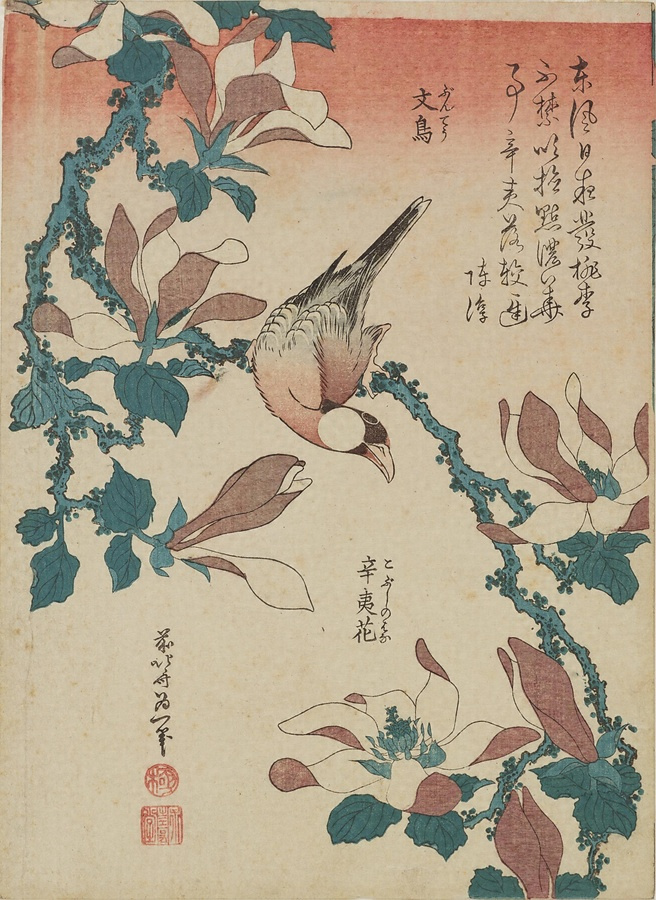 文鳥 辛夷花 文化遺産オンライン