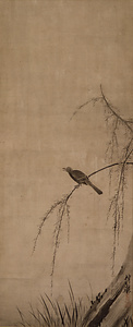 Bird on Willow Tree