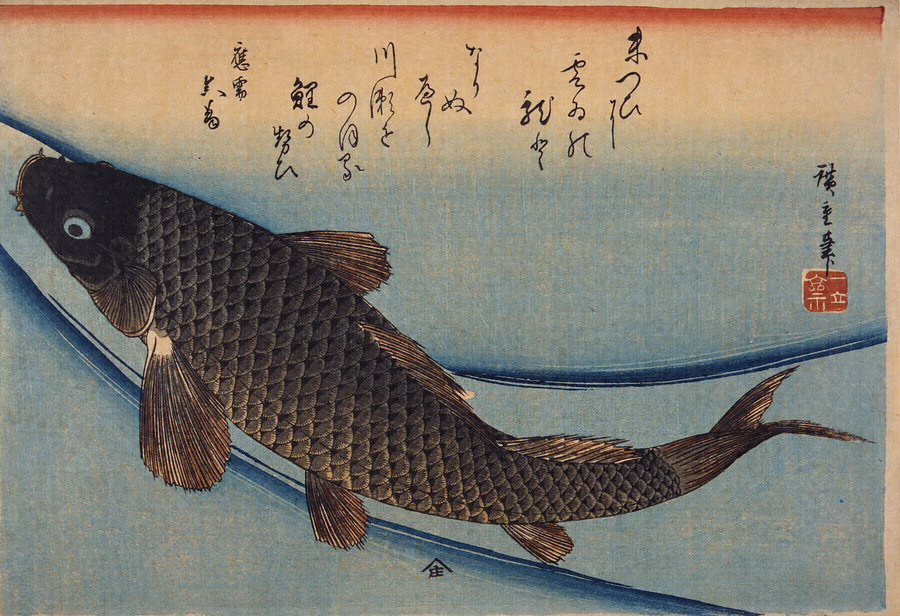 写真が全てです版画 歌川 広重 Utagawa Hiroshige 魚づくし 鯉 - glchs 