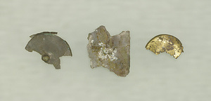 Sutra Case Fragments