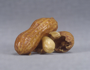 Netsuke, Spider in peanut shell design
