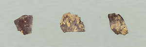 Fragments of Gold Leaf