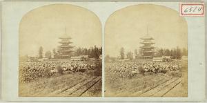 Toji Temple Five Story Pagoda From the Jinshin Survey Photographs