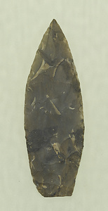 Projectile Point in the Shape of a Spearhead