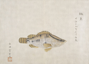 鱖魚