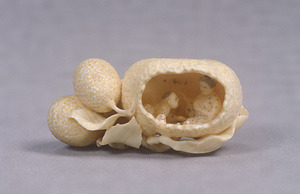 Toggle ("Netsuke") in the Shape of a Mother and Child in a "Tachibana" Orange