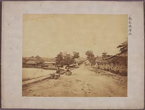 Sarusawa Pond, Nara Jinshin Survey Photographs
