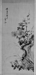 菊石図