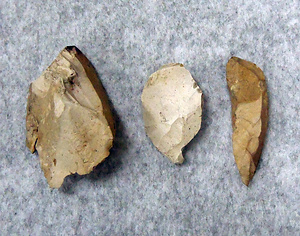 Stone tools from Gifu II site