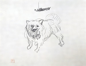 船と犬