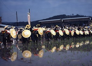 壬生の花田植 みぶのはなたうえ