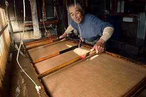 和紙：日本の手漉和紙技術 わし：にほんのてすきわしぎじゅつ