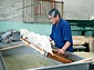 和紙：日本の手漉和紙技術