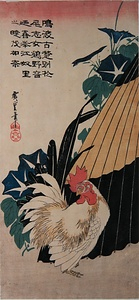 KASA-NI-NIWATORI-NI-ASAGAO Coarse Oil-Paper Umbrella,a Cock and Morning Glory Flowers