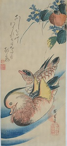 MIZUAOI-NI-OSHIDORI Mallows and Mandarin Ducks