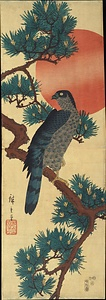 HINODE-NI-MATSU-NI-TAKA A Hawk on the Pine Tree at Sunrise