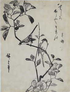 TSUBAKI-NI-UGUISU Camellia and a Bush Warbler