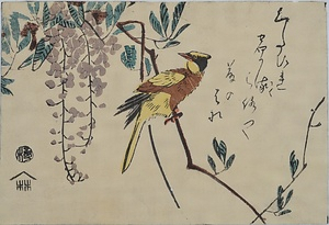 FUJI-NI-KOURAIUGUISU Wisteria Flowers and a Korean Bush Warbler