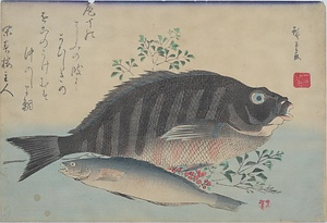 SHIMADAI,AINAME-NI-NANTEN A Parrot Fish,a Rock Trout and Nandin