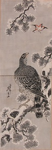 MATSU-NI-TAKA-NI-SUZUME A Pine Tree, a Hawk and a Sparrow