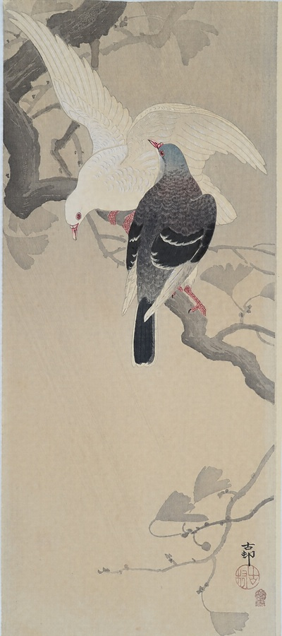 斉藤鳳葉 齋藤鳳葉 画集 / 日本画 狸 / タヌキ / 定価20,000円 