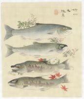 信川之鮭魚
