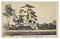 高岡市内絵葉書（御野立所・瑞龍前田公遺徳碑・高岡関野神社）