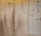 紙本墨画檜原図　近衛信尹の賛がある　六曲屏風