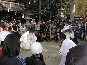 牟呂八幡宮の神事相撲を中心とした神幸祭