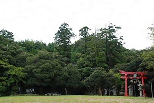 吉竹幡生神社の社叢林