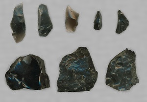 上野忍岡遺跡群出土旧石器時代資料一括