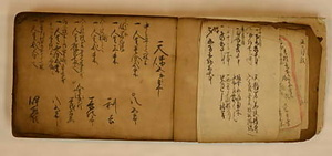 飯塚家文書一括 いいづかけもんじょいっかつ