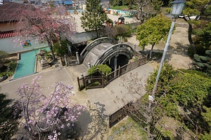 誉田八幡宮の放生橋