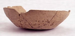 中原遺跡出土木簡と土師器相模型模倣杯